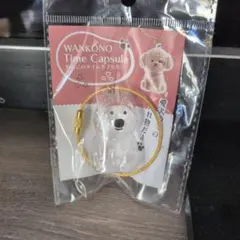 わんこのタイムカプセル　モコ