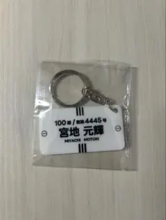 Item thumbnail for item e78268eb-e313-40fa-afb3-f475862ac444