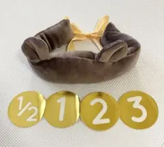 Item thumbnail for item ad37237f-fec7-47ce-b28f-44d8b64c980c