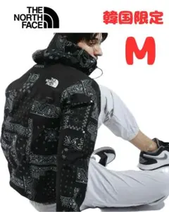 THE NORTH FACE ノベルティ エコ GTX マウンテンジャケット