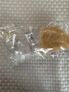 うちのイッヌいつも一緒だワン！KH　２点セット