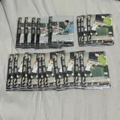 3602 レアバボ/応 烏野高校女子バレー部 ハイキューバボカ ハイキュー