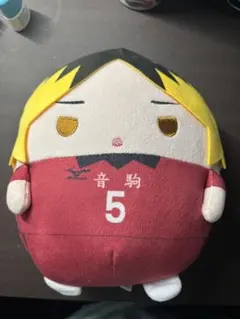 2025年最新】孤爪研磨 ふわコロりんの人気アイテム - メルカリ