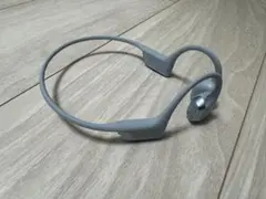 shokz OPENRUN PRO 2 ブルー