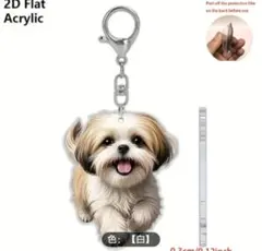 Item thumbnail for item 91fea300-8cd6-4e32-9f04-6414492d8aa4