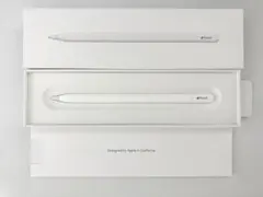 Apple Pencil(USB-C)
