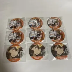 家庭教師ヒットマンREBORN ラッキー缶バッジ 沢田綱吉 2種9個セット