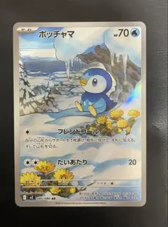 2026年最新】ポッチャマ ARの人気アイテム - メルカリ