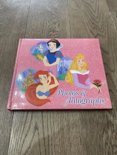 ディズニー　レトロ　プリンセス　フォトアルバム　シール帳