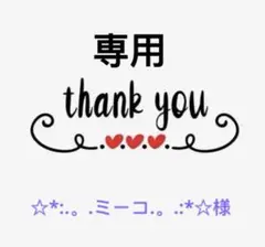 ☆*:.。.ミーコ.。.:*☆様専用