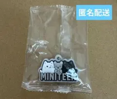 SEVENTEEN MINITEEN めじるしアクセサリー　ガチャ　ジュン