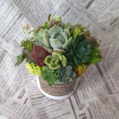 riria＆niina…様 リクエスト 2点 まとめ商品