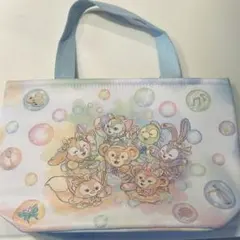カラフルハピネス スーベニア ランチケース 東京ディズニーシーダッフィー20周年
