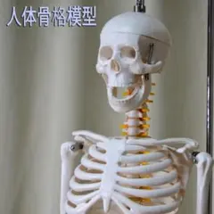 Item thumbnail for item cbd8ea13-144e-4b29-aa0b-0d47c50e0af3