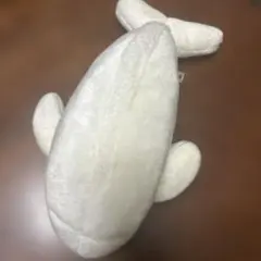 宮島水族館　アザラシ　ぬいぐるみ