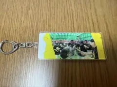 阪神タイガース シークレット優勝記念アクリルキーホルダー★豊田寛選手