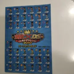 サカつくDS ワールドチャレンジ2010 パーフェクトガイド