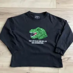 グローバルワーク　恐竜スパンコール刺繍 長袖カットソー　120