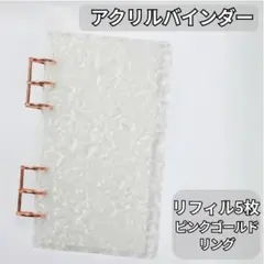 アクリル バインダー 貯金 韓国 リフィル5枚付 ピンクG Saving A20