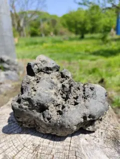 千軒石。中型 水石 黒灰色 不規則形状 - メルカリ