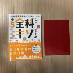 Item thumbnail for item 29776c62-1601-4ba6-87f8-73649ff6986b