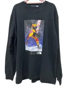 THE NORTH FACE ノースフェイス ロンT フォトプリント 長袖 M