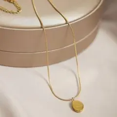 コインラウンドネックレス サージカルステンレス 金アレ対応ネックレス　ゴールドc