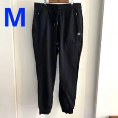 Item thumbnail for item 7678b90b-3b9d-4a68-af16-15bc6926eb7d