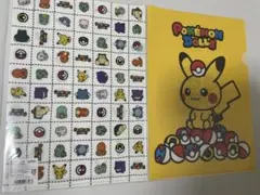 未開封　ポケモンドールズ　クリアファイル 2枚　dolls