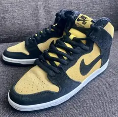 NIKE ナイキ DUNK SB HIGH MAIZE AND BLACK 26