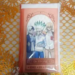 Dr.STONE くじ引き堂 読書の秋 A賞 フラットポーチ