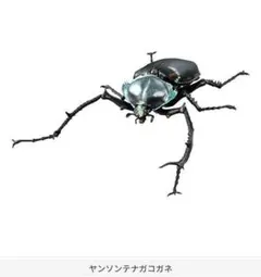 2026年最新】テナガコガネの人気アイテム - メルカリ