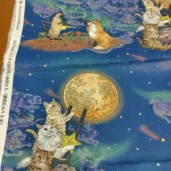 シーチング　生地　月明かりの猫　おとぎの国の猫と仲間たち　50㌢