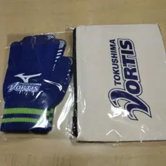 徳島ヴォルティスサイン入りボール 徳島ヴォルティス サインボール（2号球）｜【公式】Jリーグオンライン
