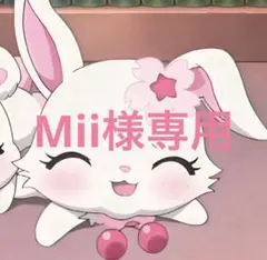 Mii様専用