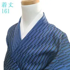 新古品！夏塩沢＊本場塩沢＊居敷当て付き＊夏物＊着物＊防水済み