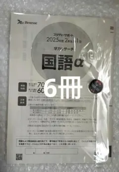 3Tクラス （skクラス）中3 年間 単語・文法 プリント・テキスト 早慶