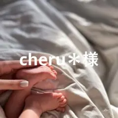 cheru＊様＊ホワイトガーデンフォトセット