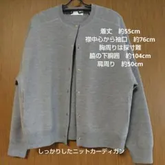 Item thumbnail for item c3dcddc8-6ae3-461b-be26-6583cd34dc83