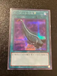 ハーピィの羽根箒/ウルトラレア 51fxnzfRzZL._AC_SY200_QL15_.jpg