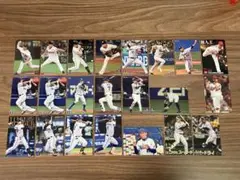 ★セ・リーグ限定★ カルビー Calbee プロ野球チップスカード ２２枚セット