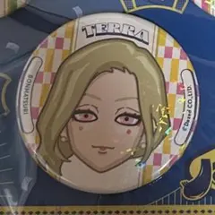 カリスマ 凡祭り 缶バッジ テラ