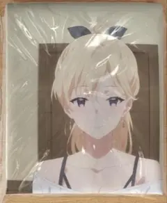 綾瀬沙季　PVC 抱き枕　空気ビニール　エアクッション