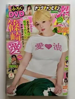 hirofumiboom様 リクエスト 2点 まとめ商品