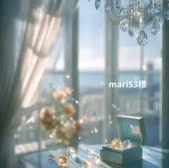 mari53様