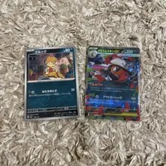 ズルッグ & メガズルズキンexトレカセット