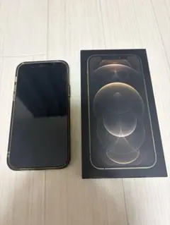 【付属品付き】iPhone 12 Pro ゴールド 256GB SIMフリー