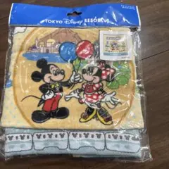 (最終価格)東京ディズニーリゾート ウォッシュタオルのサムネイル