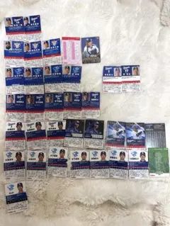 中日ドラゴンズ　 プロ野球チップス　カード 2018-2025まとめ売り