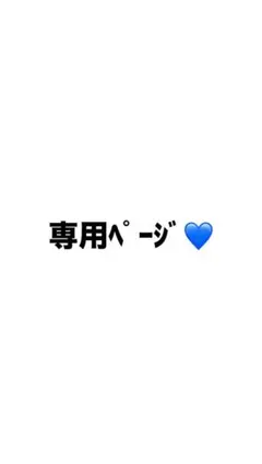 専用ページ